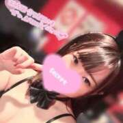 ヒメ日記 2025/12/19 07:33 投稿 ワラビ バニーコレクション秋田店