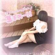 ヒメ日記 2026/03/01 06:13 投稿 ワラビ バニーコレクション秋田店