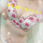 ヒメ日記 2025/12/20 17:00 投稿 加賀美　めい プルプル人妻専門店