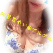 ヒメ日記 2026/01/11 13:16 投稿 加賀美　めい プルプル人妻専門店