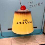 ヒメ日記 2026/03/05 08:44 投稿 加賀美　めい プルプル人妻専門店