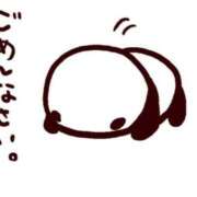 ヒメ日記 2026/03/26 10:01 投稿 加賀美　めい プルプル人妻専門店