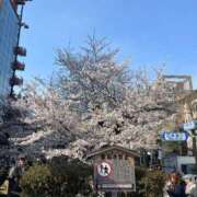 ヒメ日記 2026/04/03 15:44 投稿 加賀美　めい プルプル人妻専門店