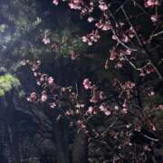 ヒメ日記 2026/03/03 20:03 投稿 えり 素人系イメージSOAP彼女感大宮館