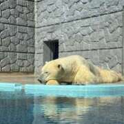 ヒメ日記 2026/03/12 08:48 投稿 えり 素人系イメージSOAP彼女感大宮館