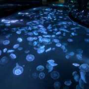 ヒメ日記 2026/03/30 14:13 投稿 えり 素人系イメージSOAP彼女感大宮館