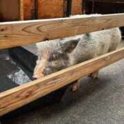 ヒメ日記 2026/04/02 14:45 投稿 えり 素人系イメージSOAP彼女感大宮館