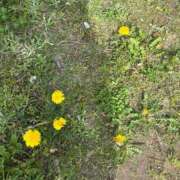 ヒメ日記 2026/04/13 08:43 投稿 えり 素人系イメージSOAP彼女感大宮館