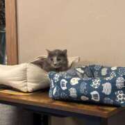 ヒメ日記 2026/04/13 16:19 投稿 えり 素人系イメージSOAP彼女感大宮館