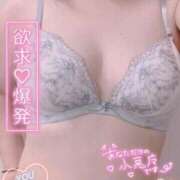 ヒメ日記 2025/12/04 16:23 投稿 ましろ 人妻の秘密成田店