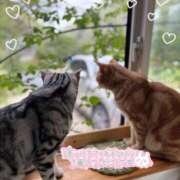 ヒメ日記 2025/12/07 21:13 投稿 みほ ACCENT[アクセントグループ]