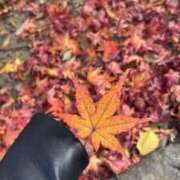 ヒメ日記 2025/12/25 15:53 投稿 みほ ACCENT[アクセントグループ]