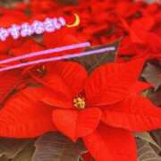 ヒメ日記 2025/12/08 20:34 投稿 ひまり マダム西船橋