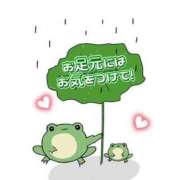 ヒメ日記 2025/12/14 10:03 投稿 ひまり マダム西船橋