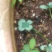 ヒメ日記 2025/12/31 17:48 投稿 知念 くみ HANA-okinawa-