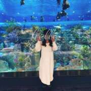 ヒメ日記 2026/01/21 07:03 投稿 知念 くみ HANA-okinawa-