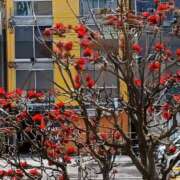 ヒメ日記 2026/04/14 12:33 投稿 知念 くみ HANA-okinawa-