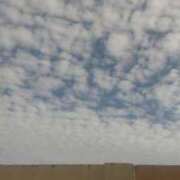 ヒメ日記 2026/04/18 22:03 投稿 知念 くみ HANA-okinawa-