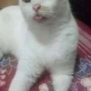 ヒメ日記 2026/04/26 09:18 投稿 知念 くみ HANA-okinawa-