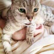 ヒメ日記 2026/04/28 18:48 投稿 知念 くみ HANA-okinawa-