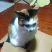 ヒメ日記 2026/04/29 16:48 投稿 知念 くみ HANA-okinawa-