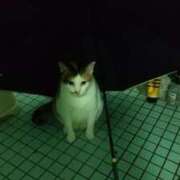 ヒメ日記 2026/05/12 09:33 投稿 知念 くみ HANA-okinawa-