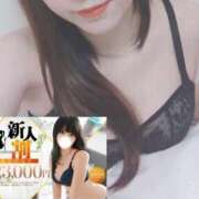 ヒメ日記 2025/12/04 14:22 投稿 ほむら ホワイトベル