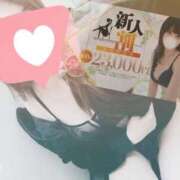 ヒメ日記 2025/12/04 16:12 投稿 ほむら ホワイトベル