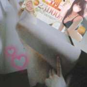 ヒメ日記 2025/12/05 20:22 投稿 ほむら ホワイトベル