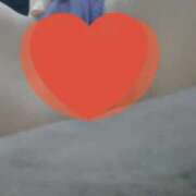 ヒメ日記 2025/12/13 10:52 投稿 ほむら ホワイトベル