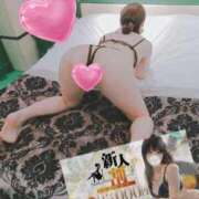 ヒメ日記 2025/12/20 17:42 投稿 ほむら ホワイトベル