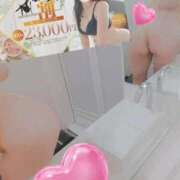 ヒメ日記 2025/12/21 17:42 投稿 ほむら ホワイトベル