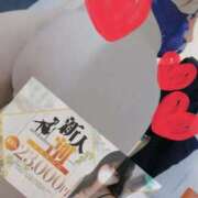 ヒメ日記 2025/12/28 20:32 投稿 ほむら ホワイトベル