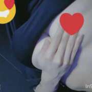 ヒメ日記 2025/12/30 17:32 投稿 ほむら ホワイトベル