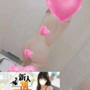 ヒメ日記 2026/01/01 20:02 投稿 ほむら ホワイトベル