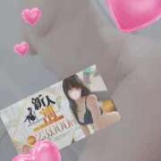 ヒメ日記 2026/01/02 08:12 投稿 ほむら ホワイトベル