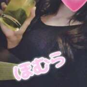 ヒメ日記 2026/01/25 05:02 投稿 ほむら ホワイトベル