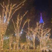 本条みみ デビュー日は大晦日😆 三丁目の奥様（東京ハレ系）