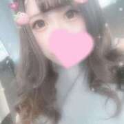 ヒメ日記 2025/12/07 13:04 投稿 ほむら ビギナーズ和歌山