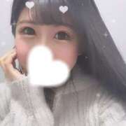 ヒメ日記 2025/12/20 14:04 投稿 ほむら ビギナーズ和歌山