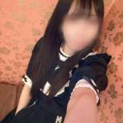 ヒメ日記 2025/12/19 10:28 投稿 なの しゃんぜりぜ