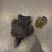 ヒメ日記 2026/01/19 07:00 投稿 ゆの 素人巨乳ちゃんこ「東千葉店」