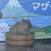 ヒメ日記 2026/09/25 06:00 投稿 ゆの 素人巨乳ちゃんこ「東千葉店」