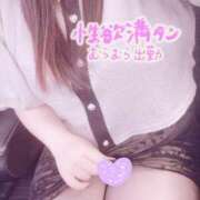 ヒメ日記 2026/04/05 13:43 投稿 らんか 即アポ奥さん ～津・松阪店～