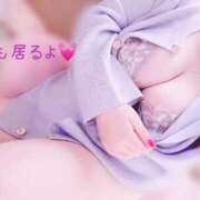 ヒメ日記 2026/04/05 17:44 投稿 らんか 即アポ奥さん ～津・松阪店～