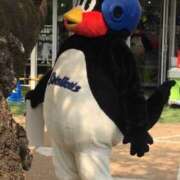 ヒメ日記 2026/02/11 20:43 投稿 みつは コートダジュール