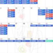 ヒメ日記 2026/02/15 23:44 投稿 みつは コートダジュール