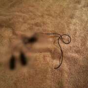 ヒメ日記 2026/02/16 18:15 投稿 みつは コートダジュール