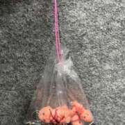 ヒメ日記 2026/02/24 13:07 投稿 みつは コートダジュール