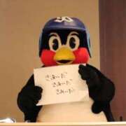 ヒメ日記 2026/06/15 07:57 投稿 みつは コートダジュール